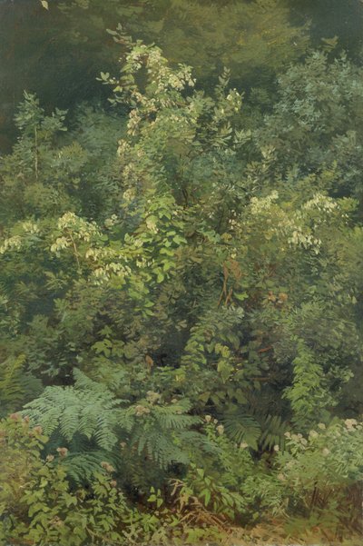 Hops and Ferns in Woodland, 1870 by Valentin Ruths
